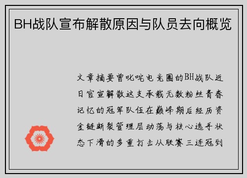 BH战队宣布解散原因与队员去向概览