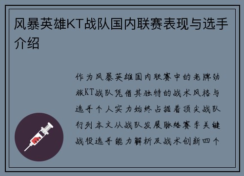风暴英雄KT战队国内联赛表现与选手介绍