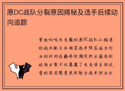原DC战队分裂原因揭秘及选手后续动向追踪